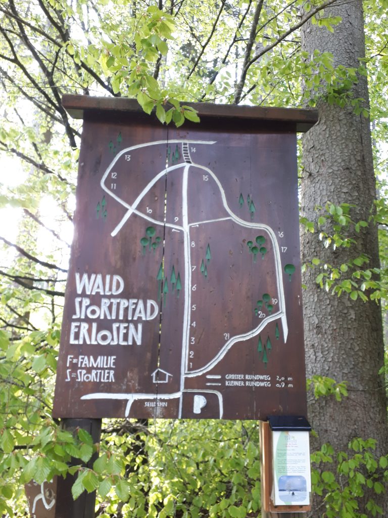 Read more about the article Waldsportpfad „Erlosen“ in Frühlingsfarben
