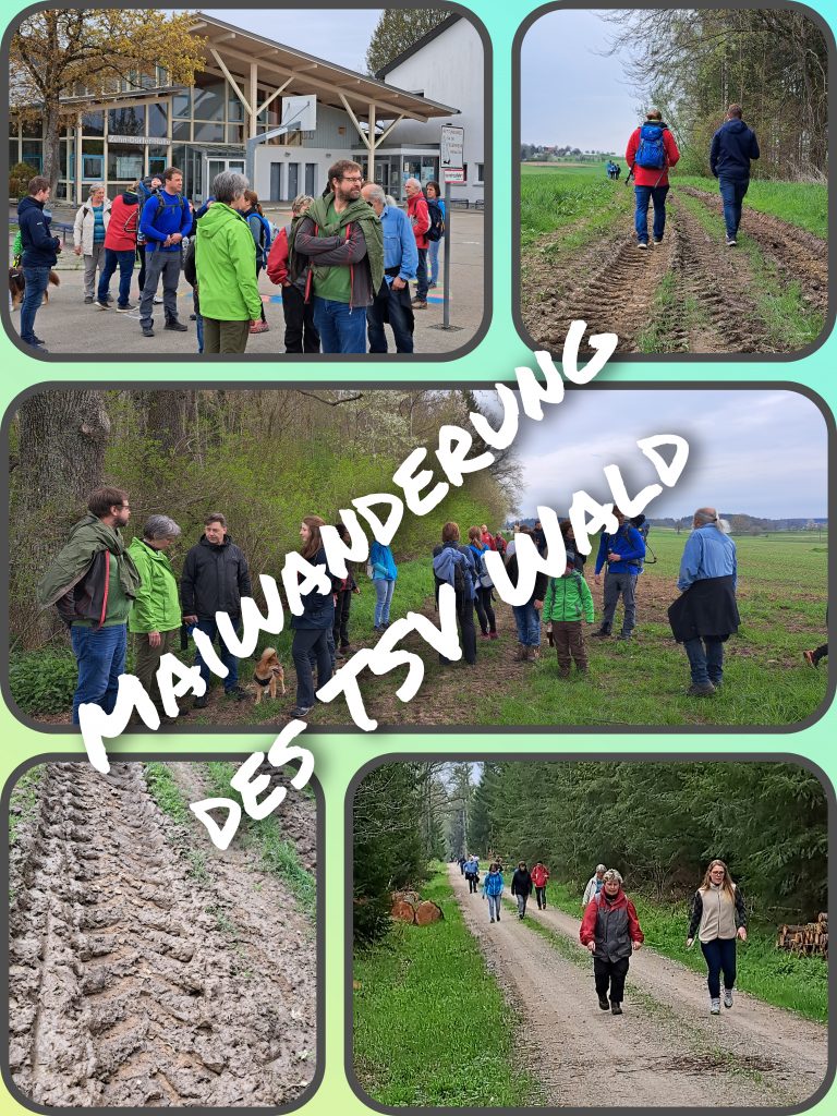 Read more about the article Maiwanderung des TSV
