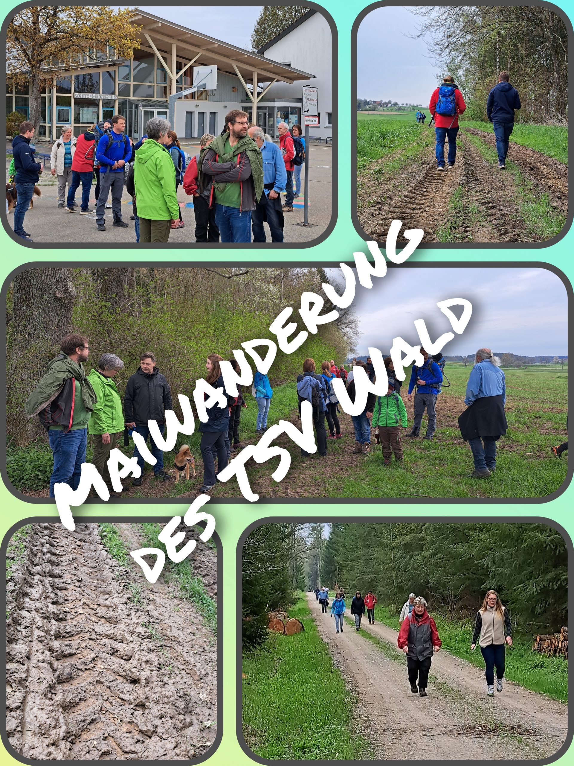 You are currently viewing Maiwanderung des TSV